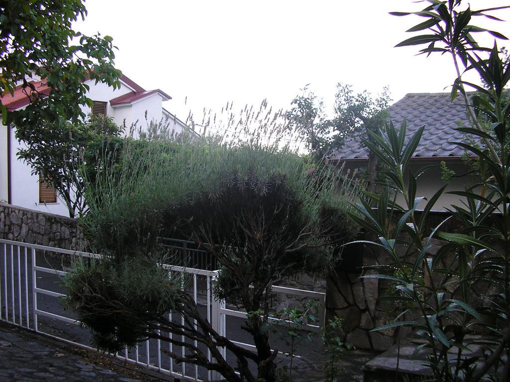 Apartment Bilic Klenovica Phòng bức ảnh